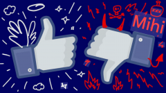 数据佐证：援用第三方认证（如FSC丛林认证、欧